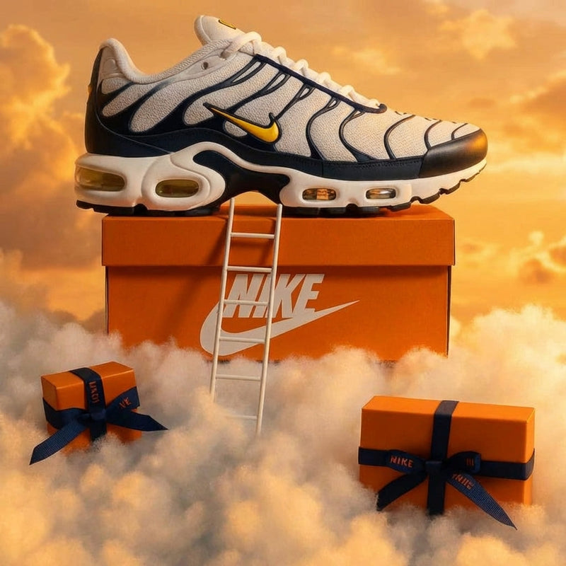Nike air max TN